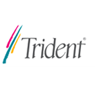 TRIDENT Blade 3D Display Driver 2k